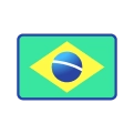 Brazil Flag Icon